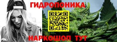 хмурый Сланцы
