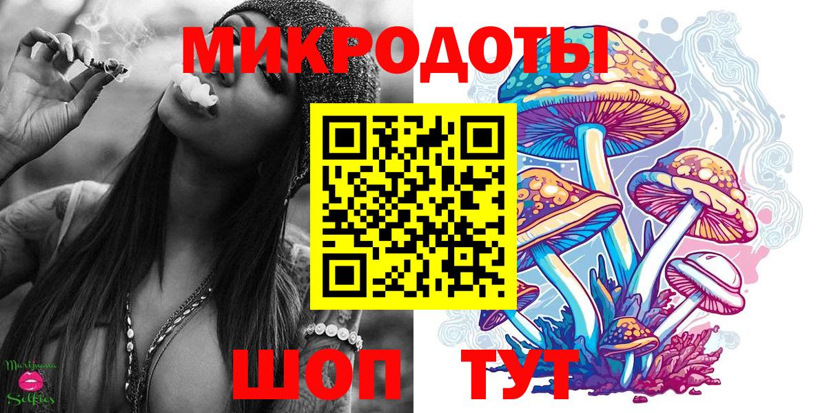 закладки  Вход с VPN  Новоуральск  Галлюциногенные грибы MAGIC MUSHROOMS 